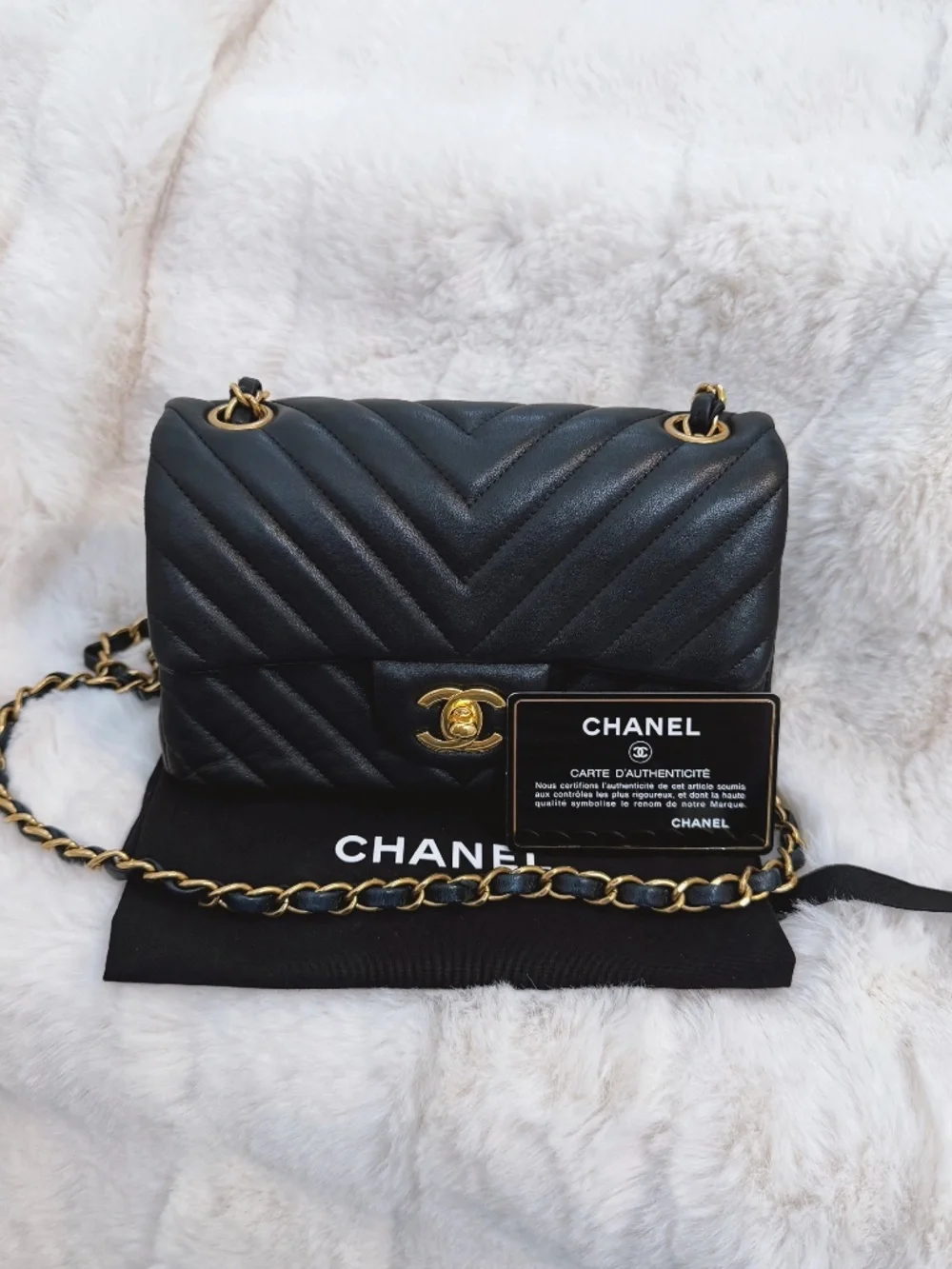Chanel Mini Flap Bag